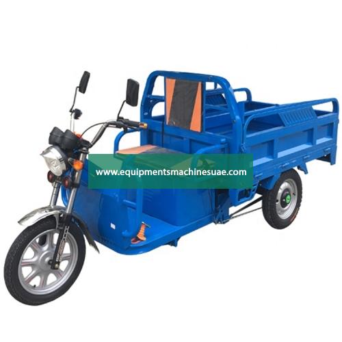 Food Cargo Electric Tricycle