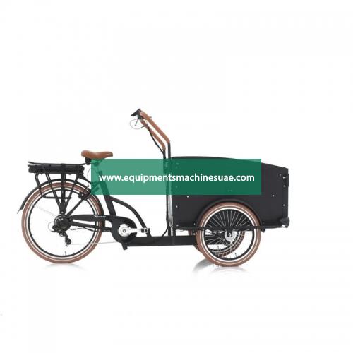 3 Wheel Electric Tricycle 250w Cargo Bike Passenger Scooter Bike