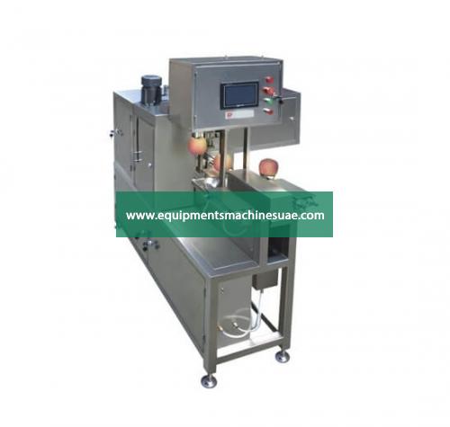 Automatic Apple Peeling Machine