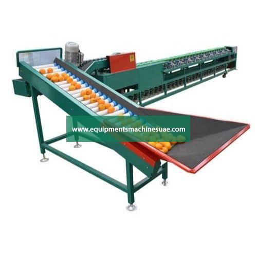 Automatic Fruit And Vegetable Sorting Machine