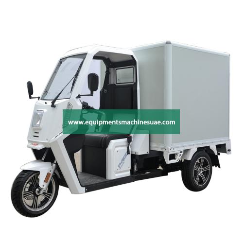 Electric Express Delivery Food Tricycle