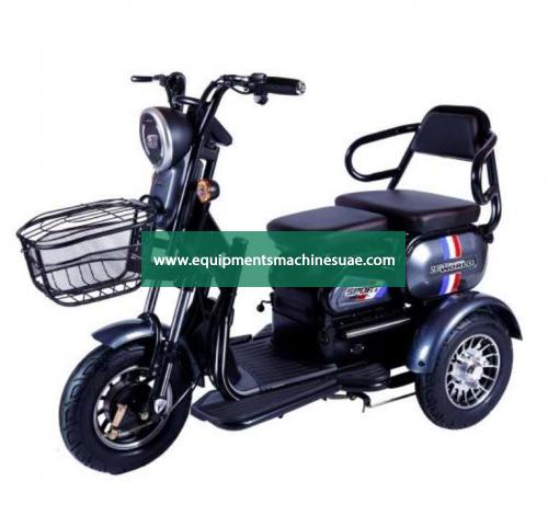 Electric Recreational Vehicles