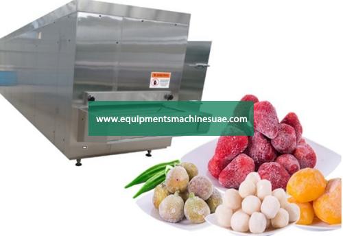 Frozen Vegetable Processing Plant