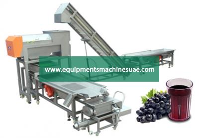 Grape Beverage Processing Plant