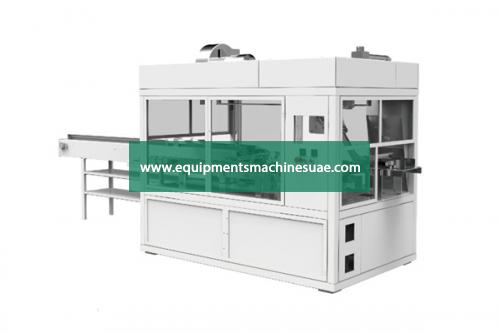 Paper Towel Packing Machine