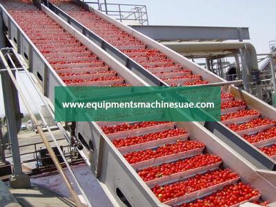 Tomato Processing Machine