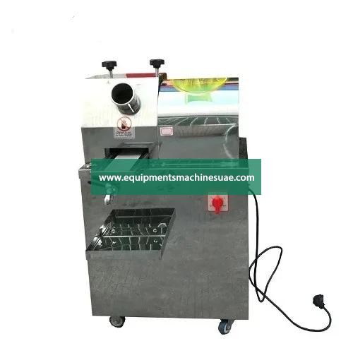 Vertical Sugarcane Juicer Extractor